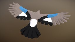 Low Poly Bird: Eurasian Jay