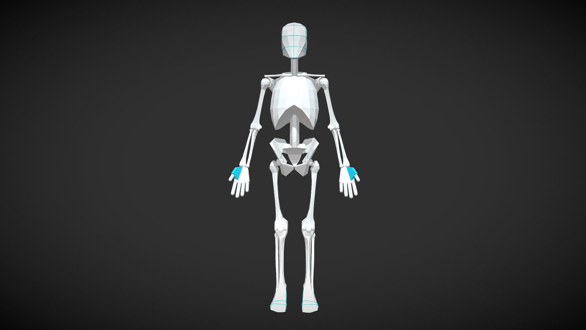 Male Skeleton For Artists 3d model