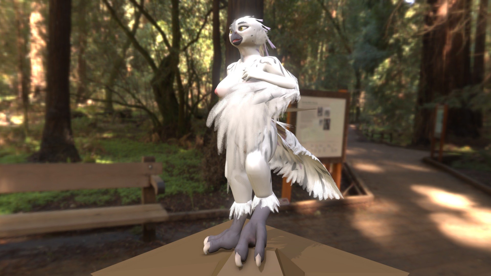 Kaeti the owless 3d model