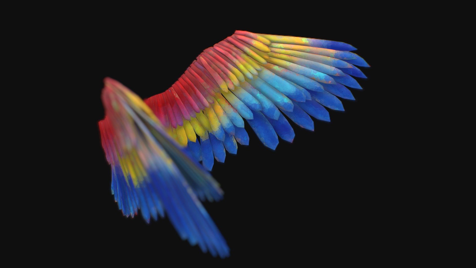 Parrot wings 3d model