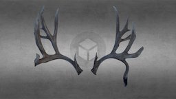 Buck Norris, Nosler/Bend Buck Antlers (2013)