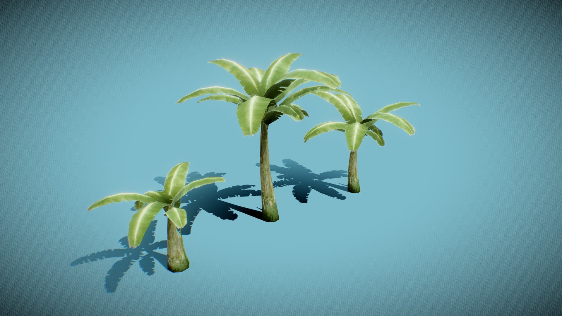 Banana tree 3d model