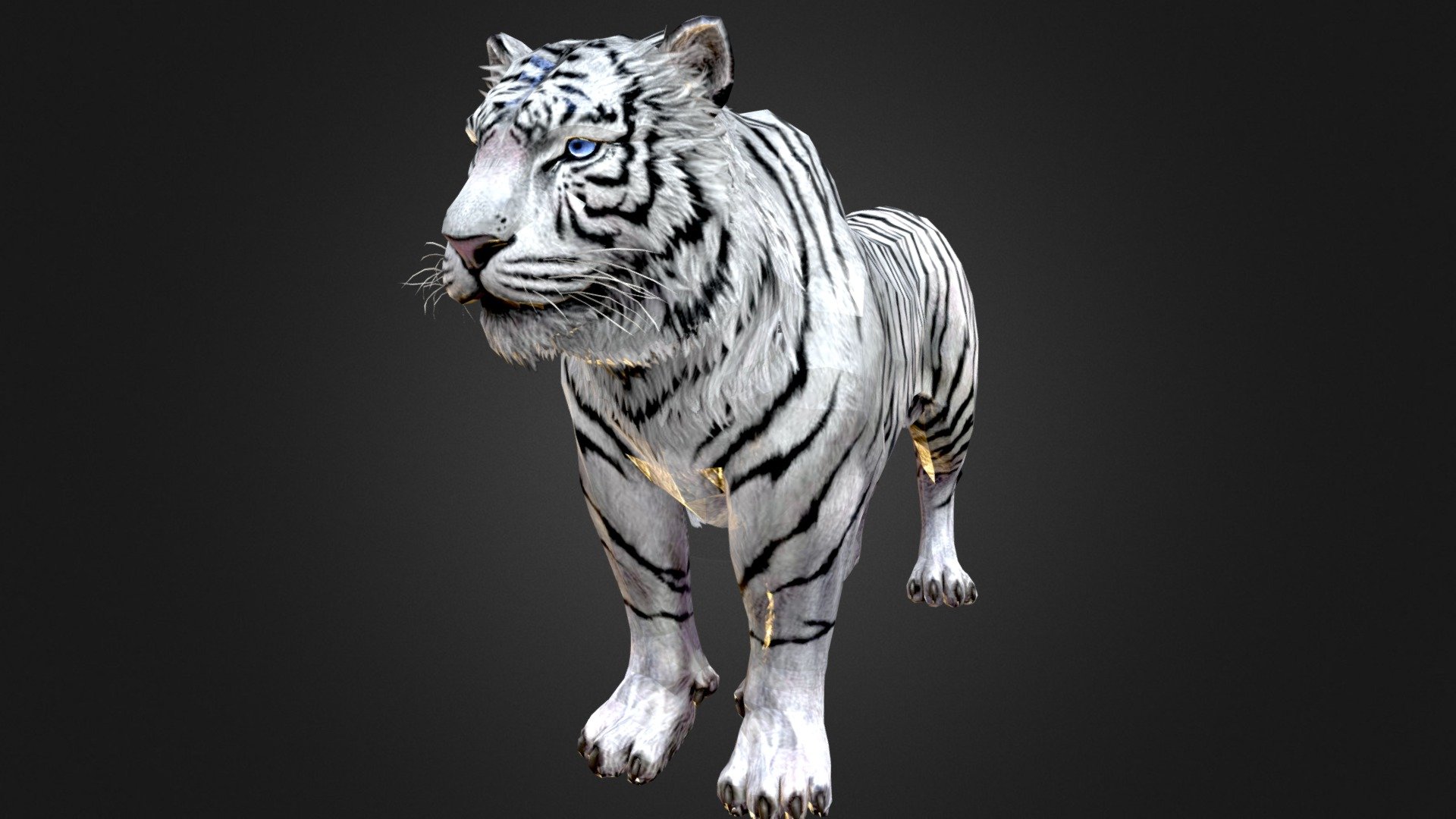 White Tiger 3d model