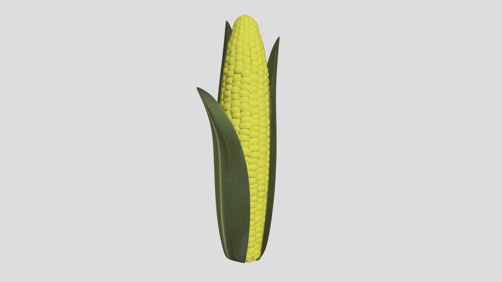 Corn 3d model