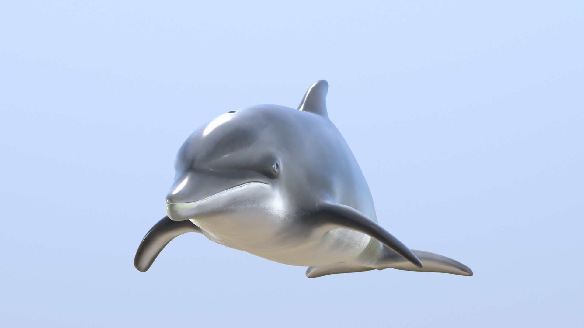 Bottlenose Dolphin 3D Model 3d model