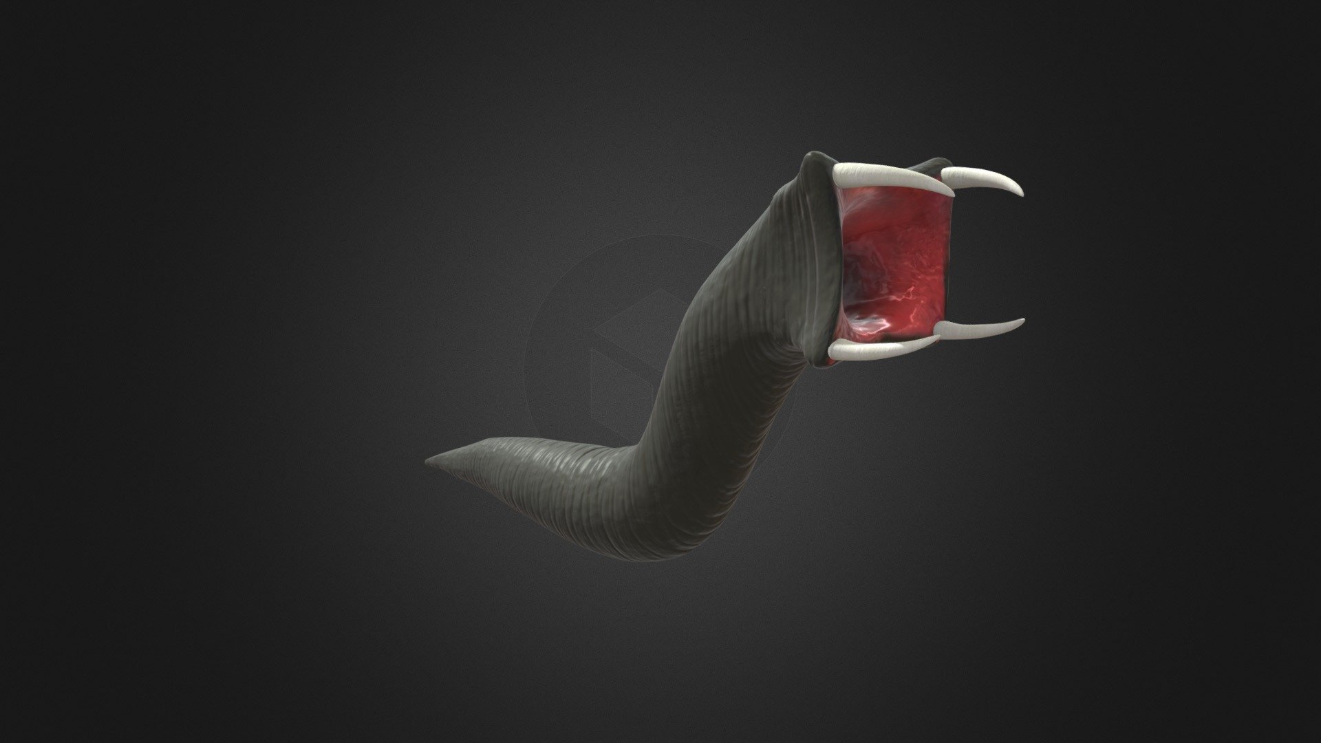 Parasite 3d model