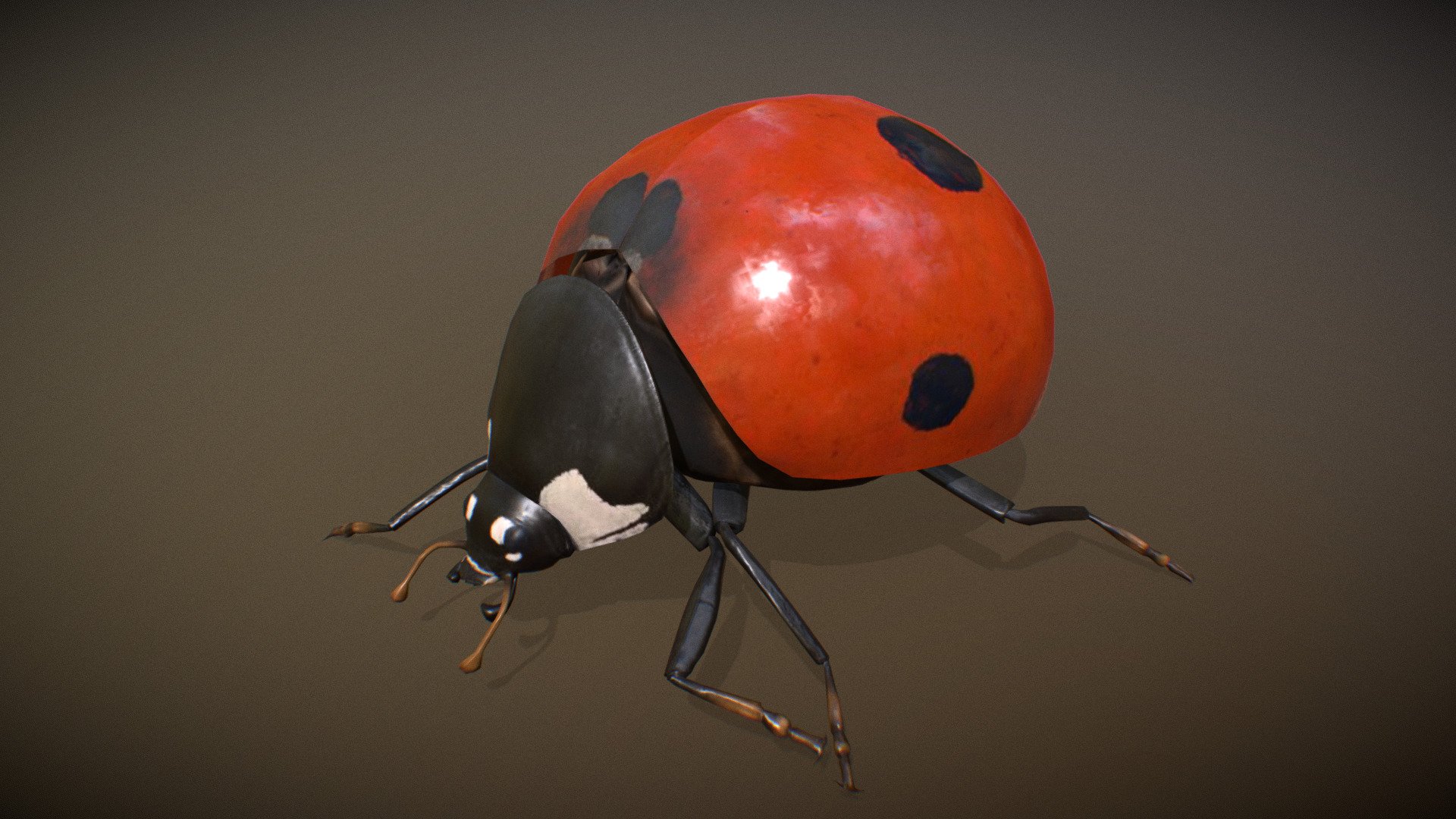 Animalia 3d model