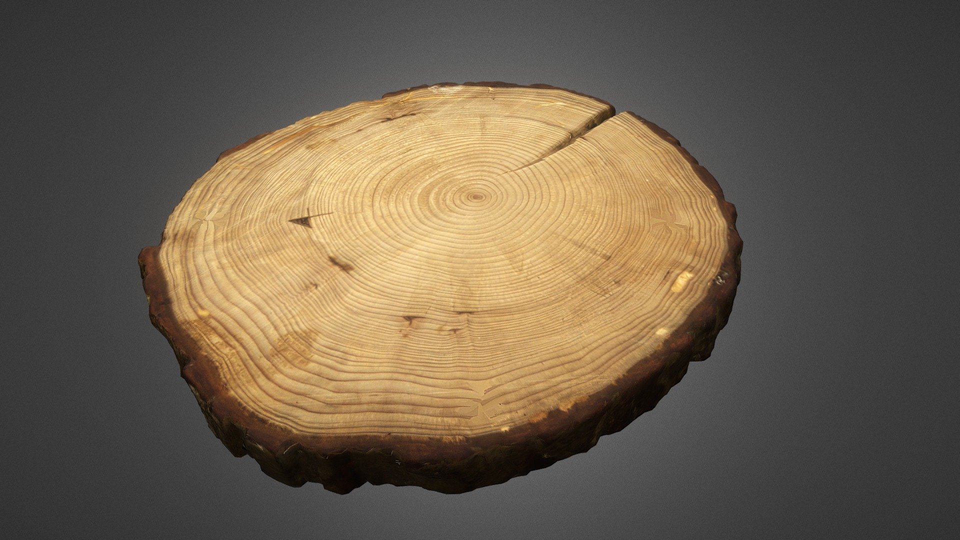 Cut wood plate 3d model