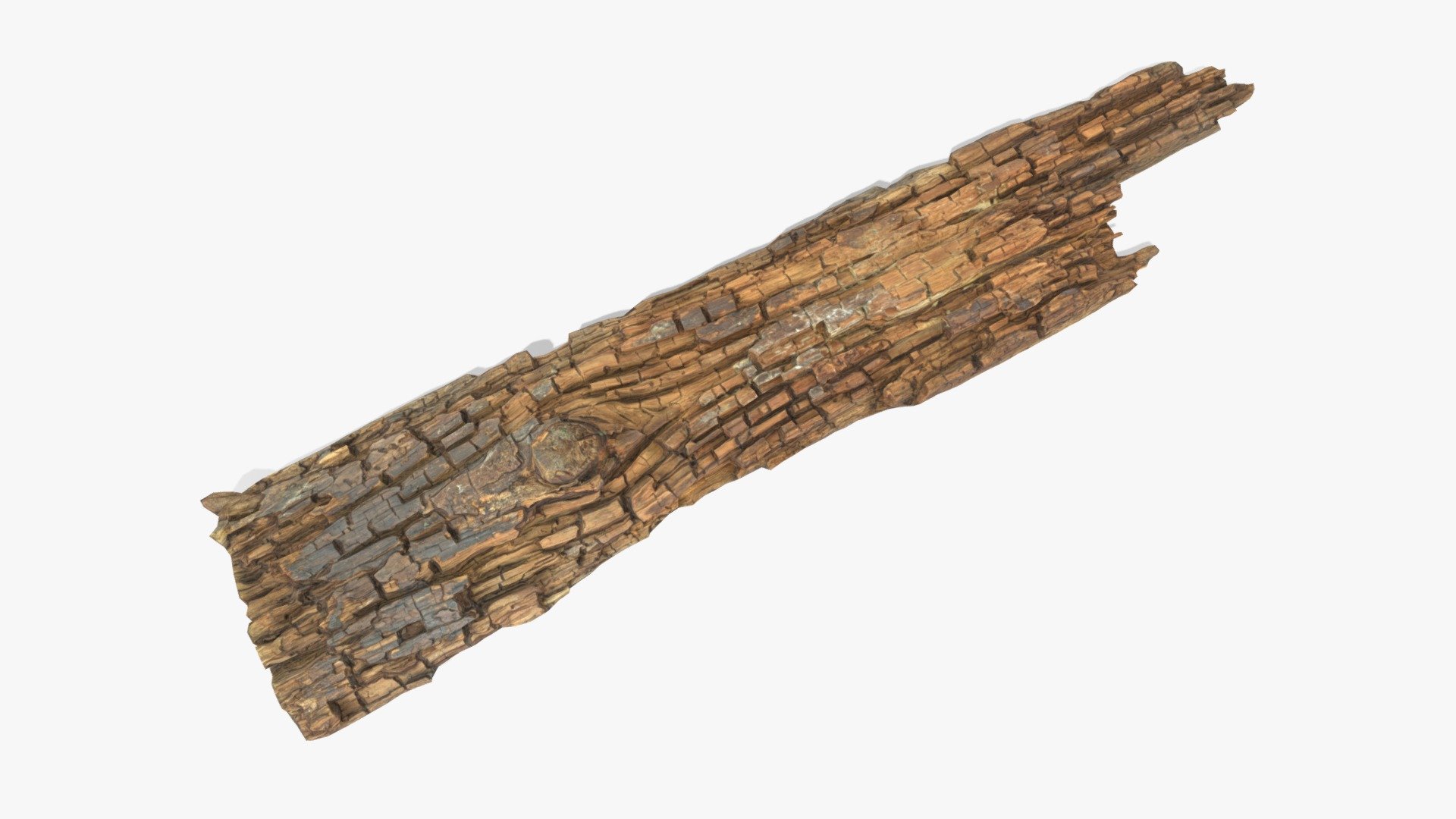 Rotten Plank Short Disintegrated 3d model