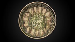 Dish with Sgraffito Decoration, 12th-13th C CE