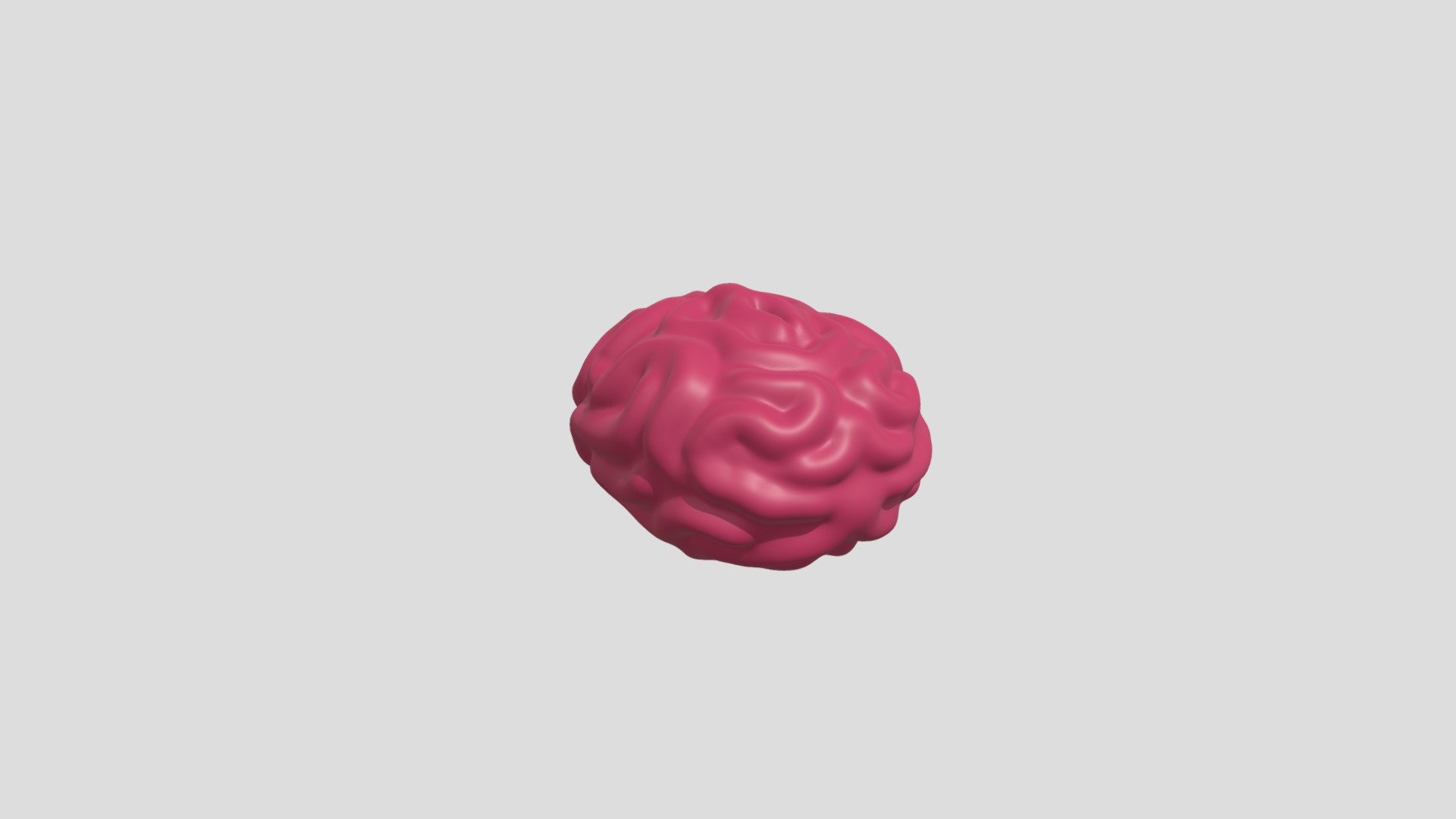 BRAIN 3d model