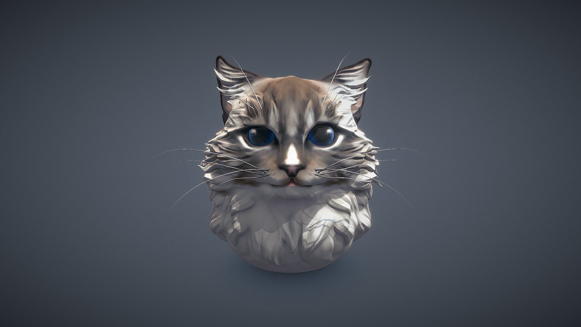 Imagine cat 3d model