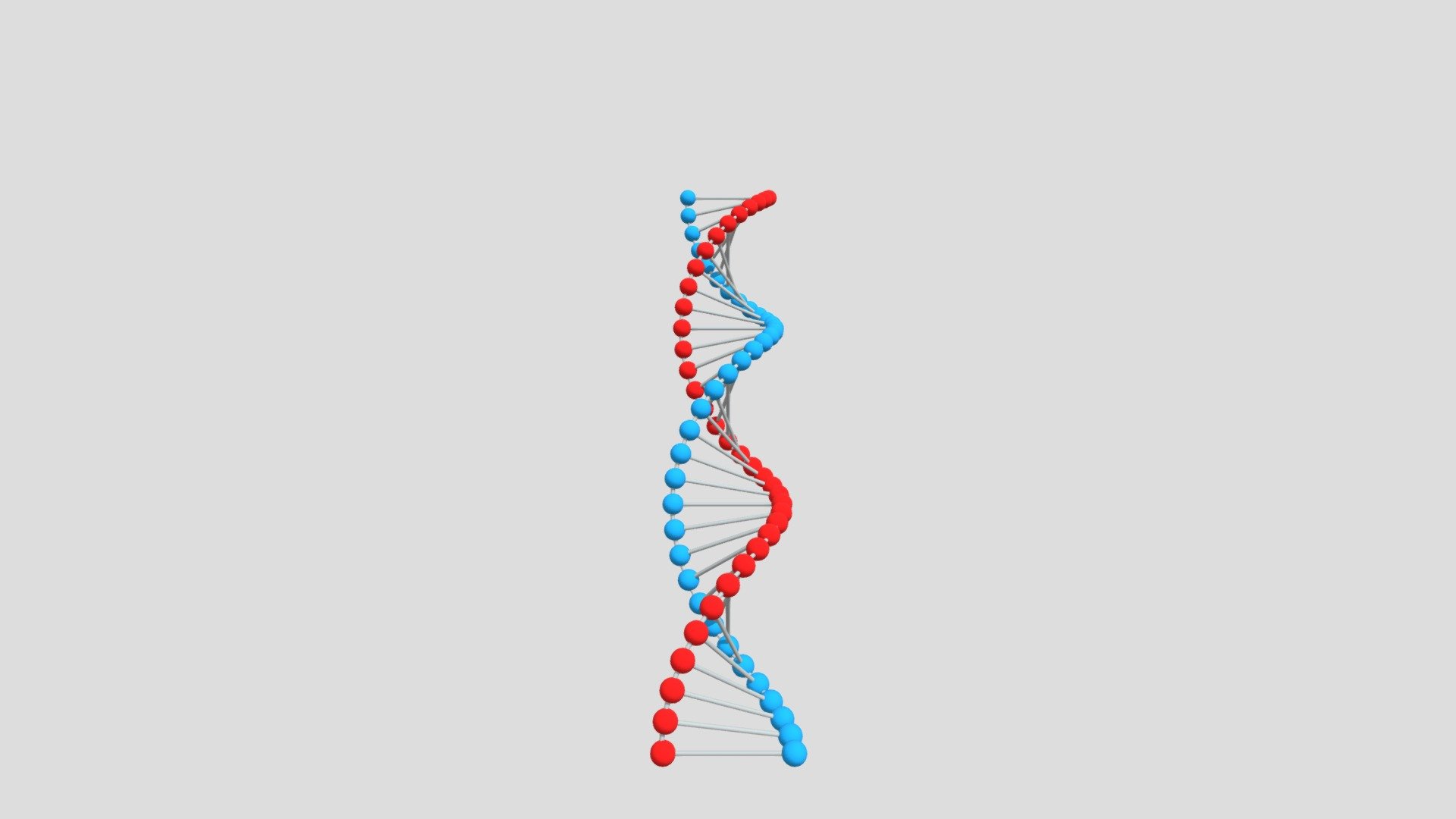 DNA 3d model