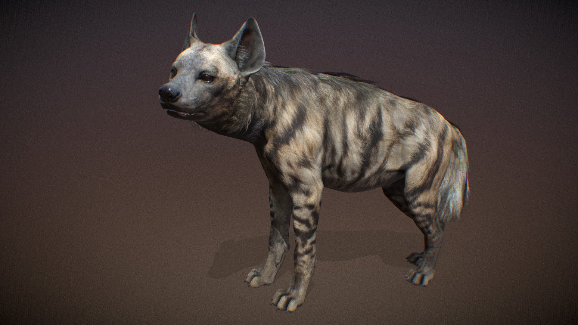 Animalia 3d model