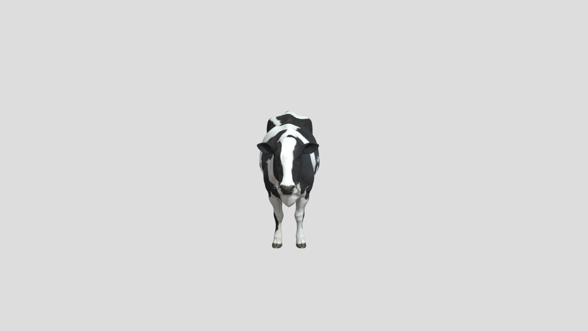 Cow 3d model