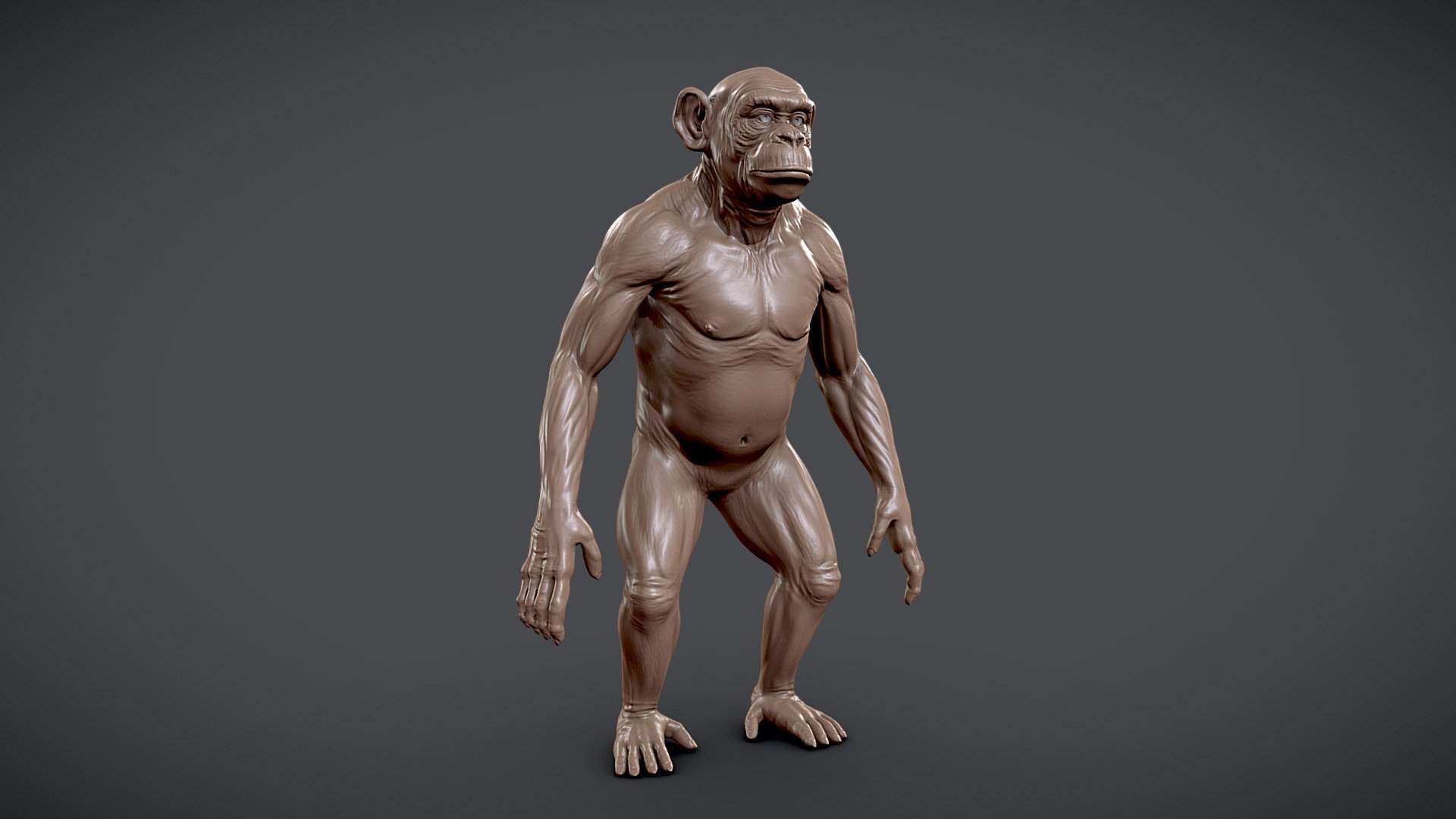 Chimpanzee Sculpt 3d model