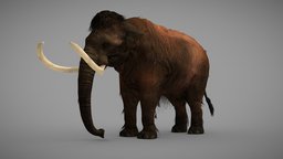 Woolly Mammoth