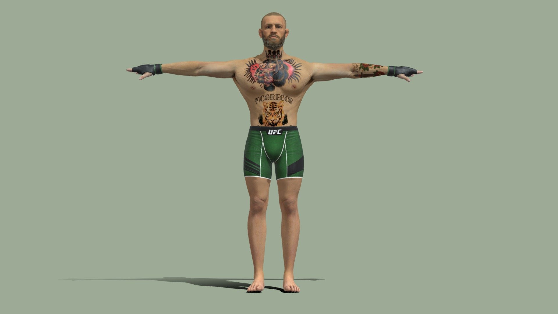 T-Pose Rigged Conor Mcgregor UFC 3d model