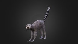 Lemur