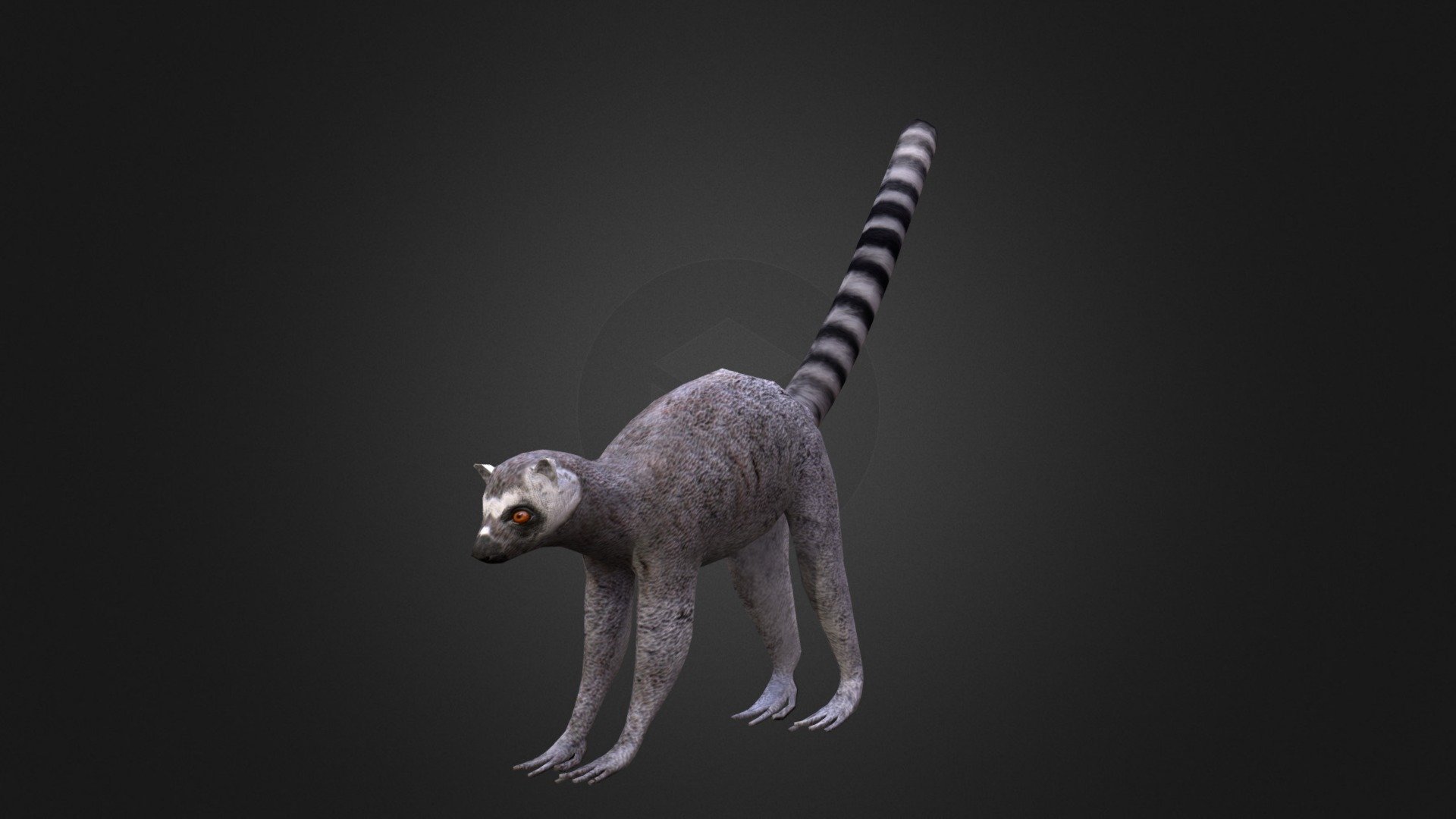 Lemur 3d model