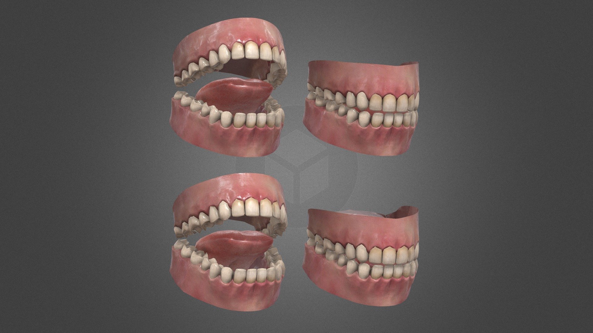 Teeth and tongue 3d model