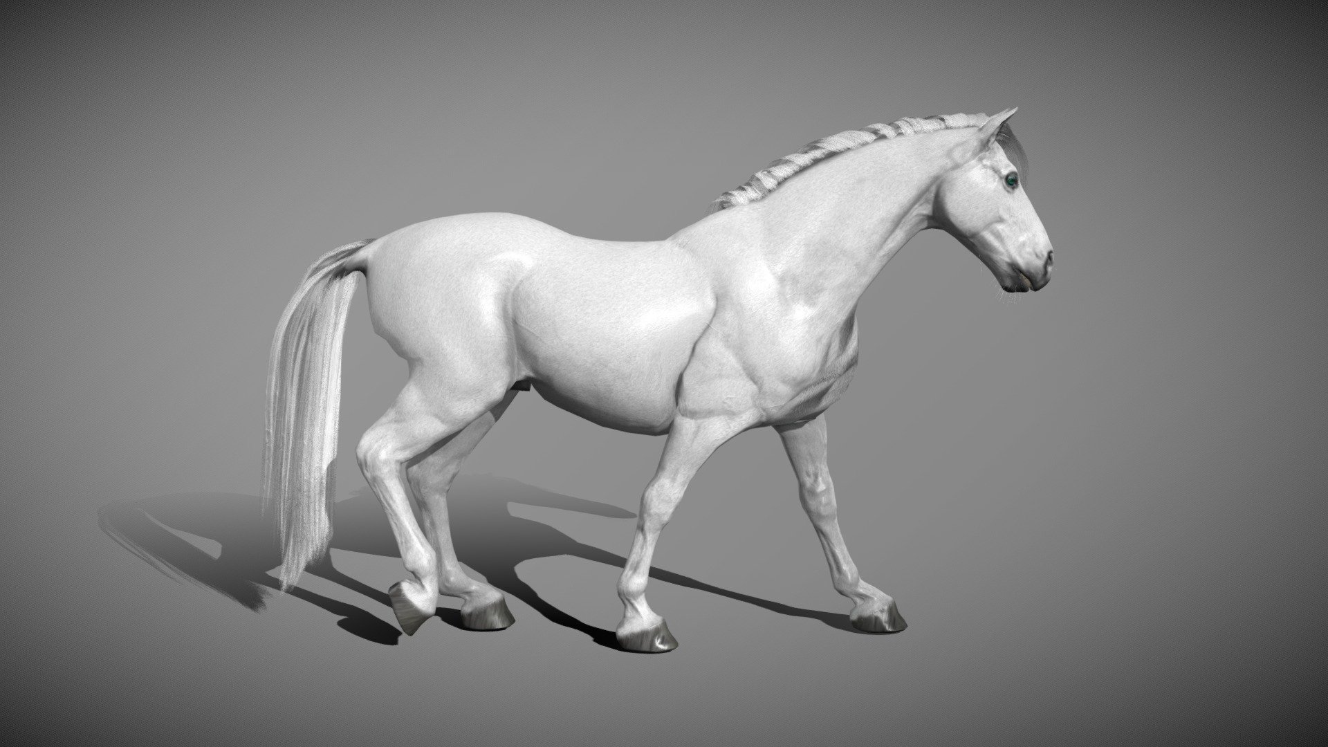 White horse 2.0 3d model