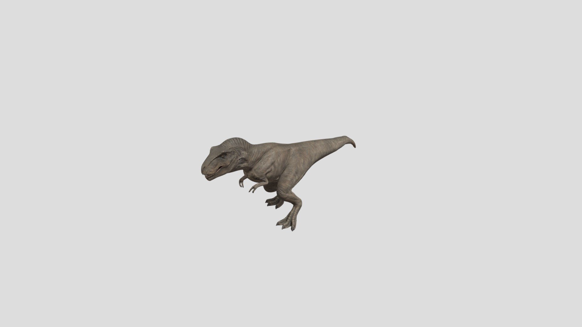 Dinosaur Tyrannosaur 3d model