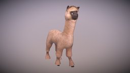 Alpaca