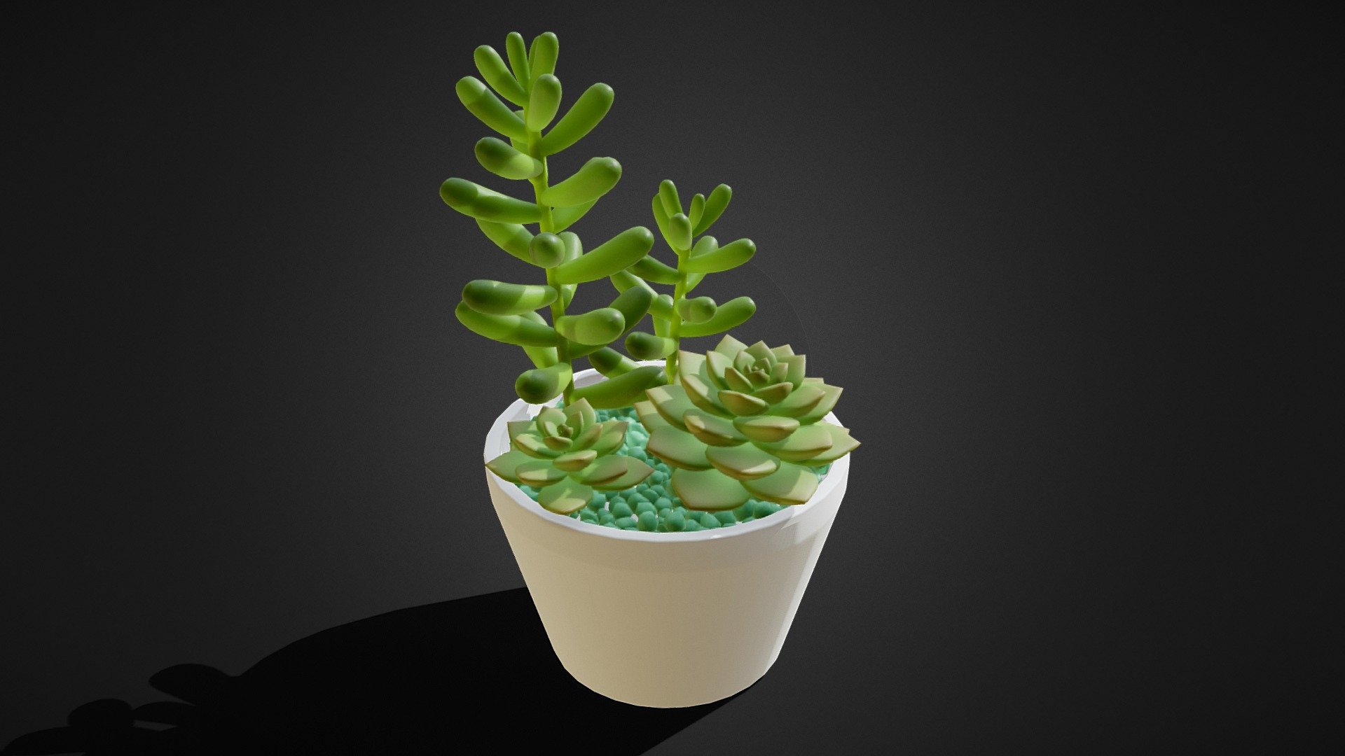 Succulents on a pot 3d model