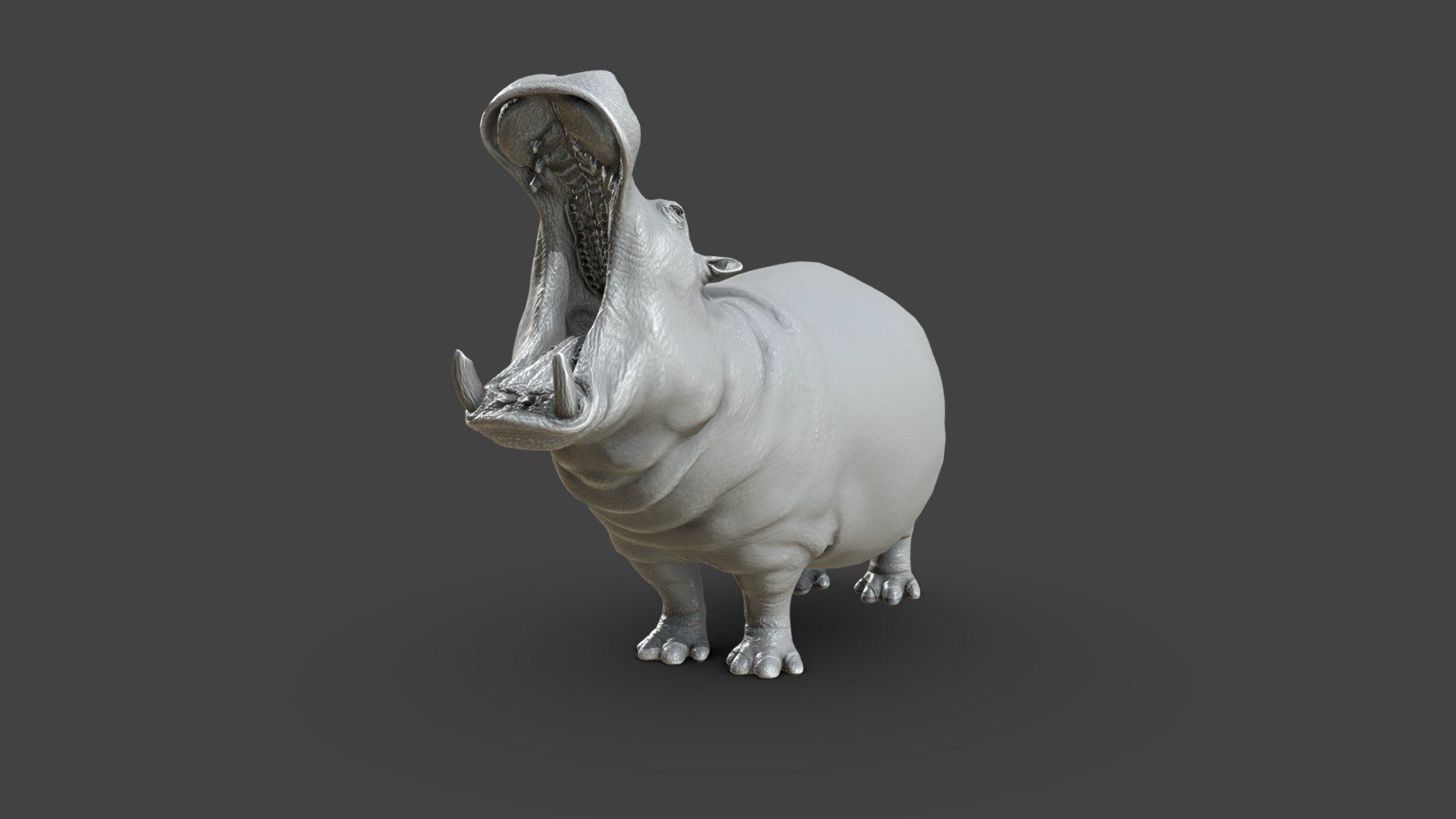 Hippopotamus Sculpt 3d model