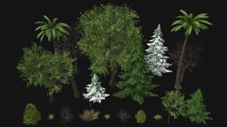 Plant- Vegetation Pack LowPoly