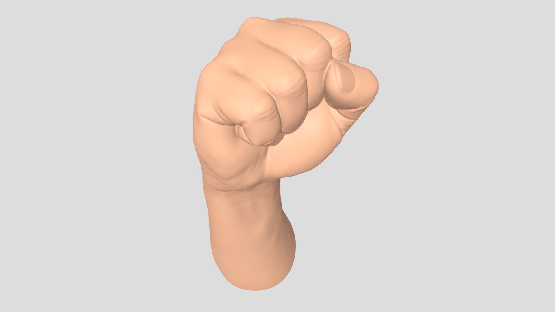 fist human hand 3d model