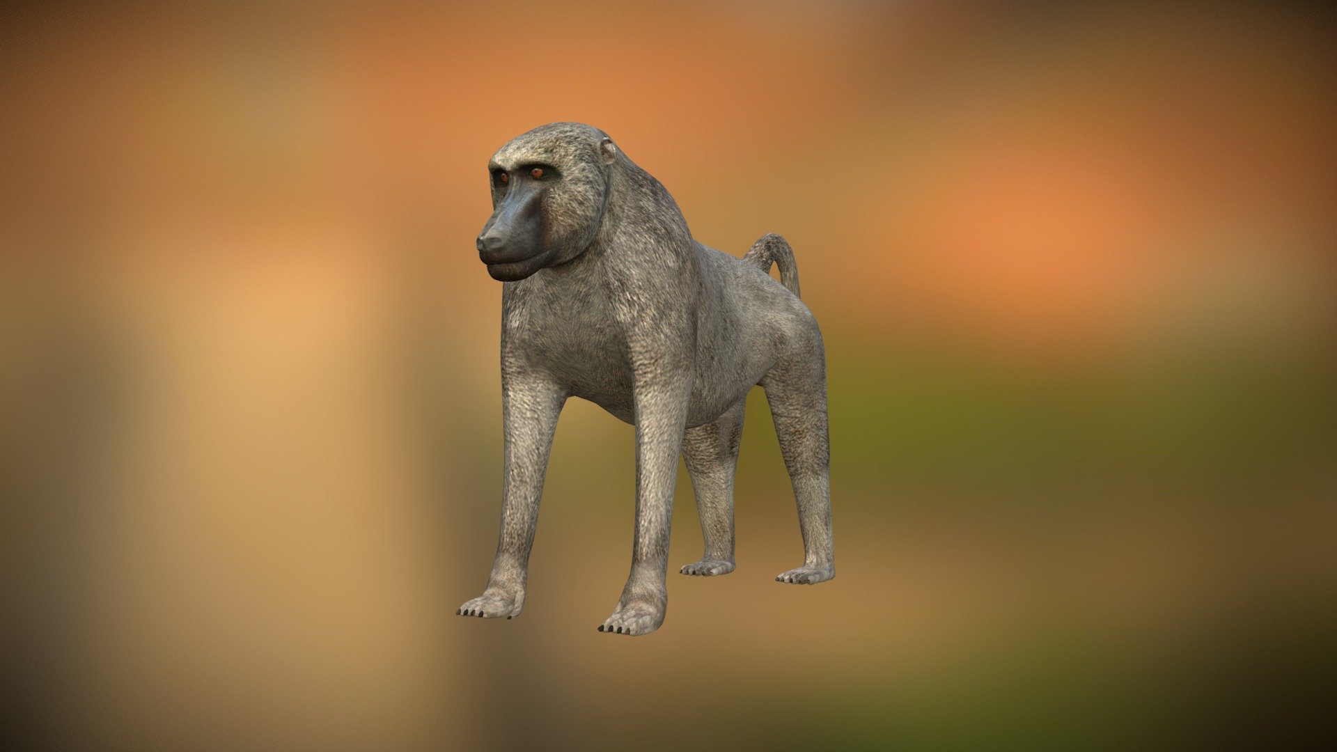 Baboon 3d model