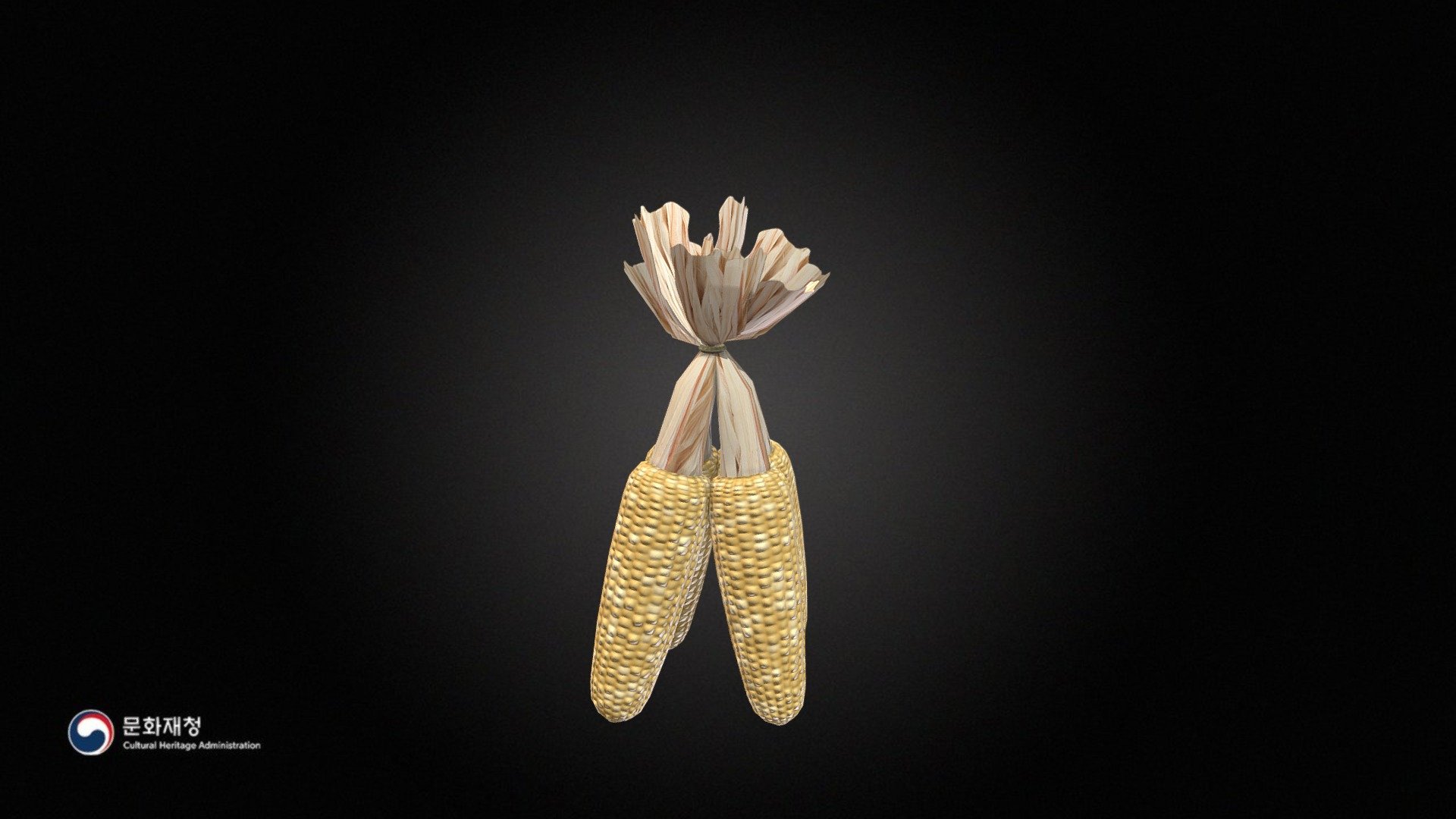 Corn 3d model