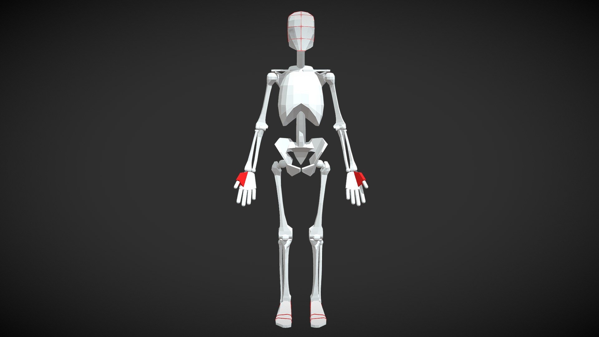 Female Skeleton For Artists 3d model