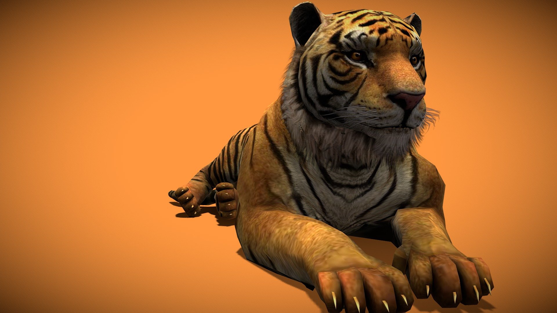 Tiger 3d model