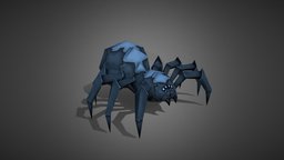 Cave Tarantula