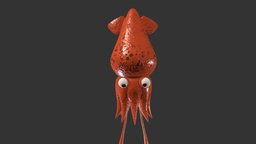 Squid