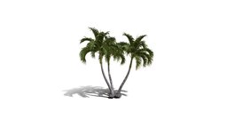 Realistic HD Christmas palm (28/35)