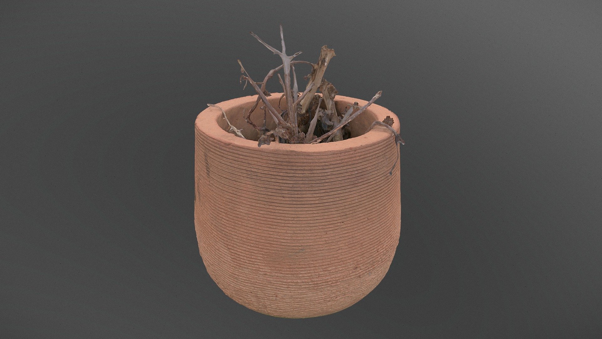 Circular planter 3d model