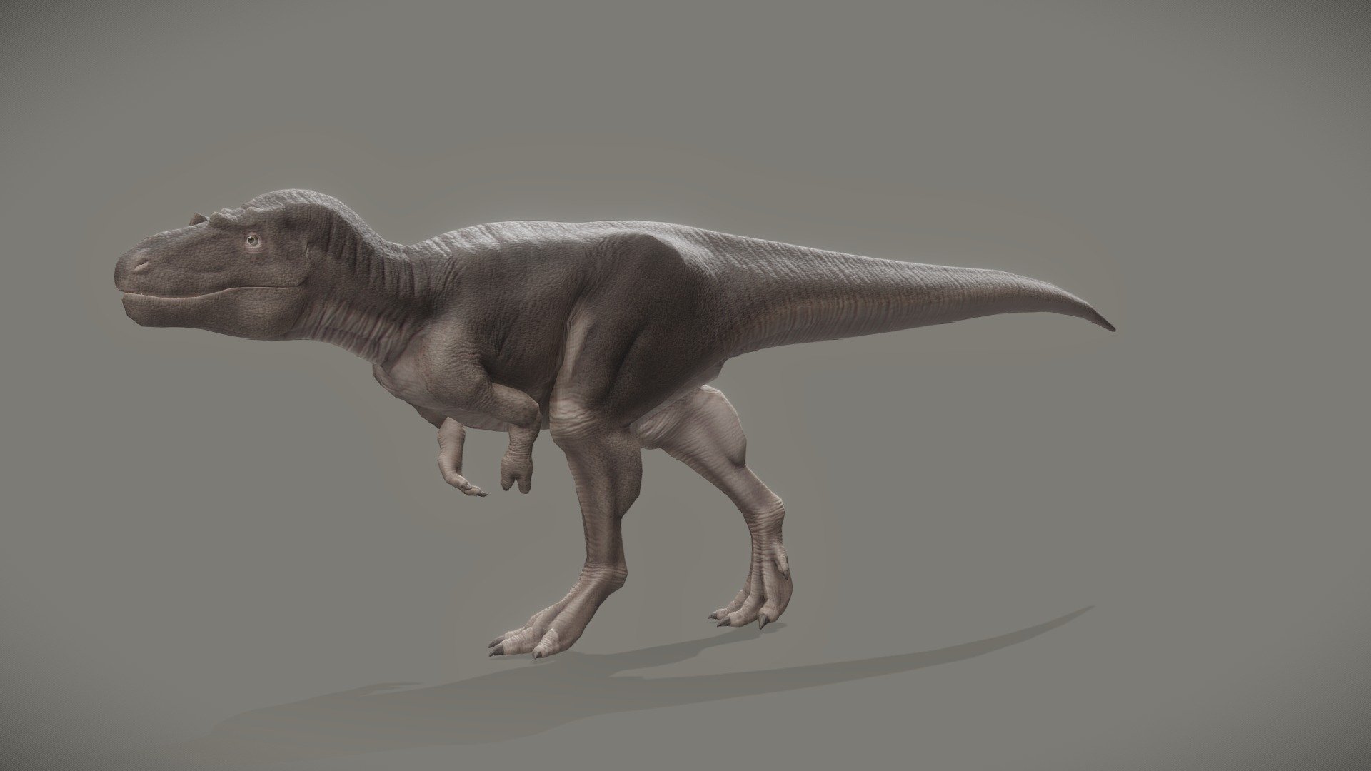 Daspletosaurus Torosus 3d model