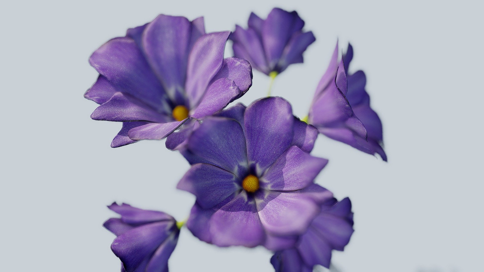 Purple Flowers 3d model