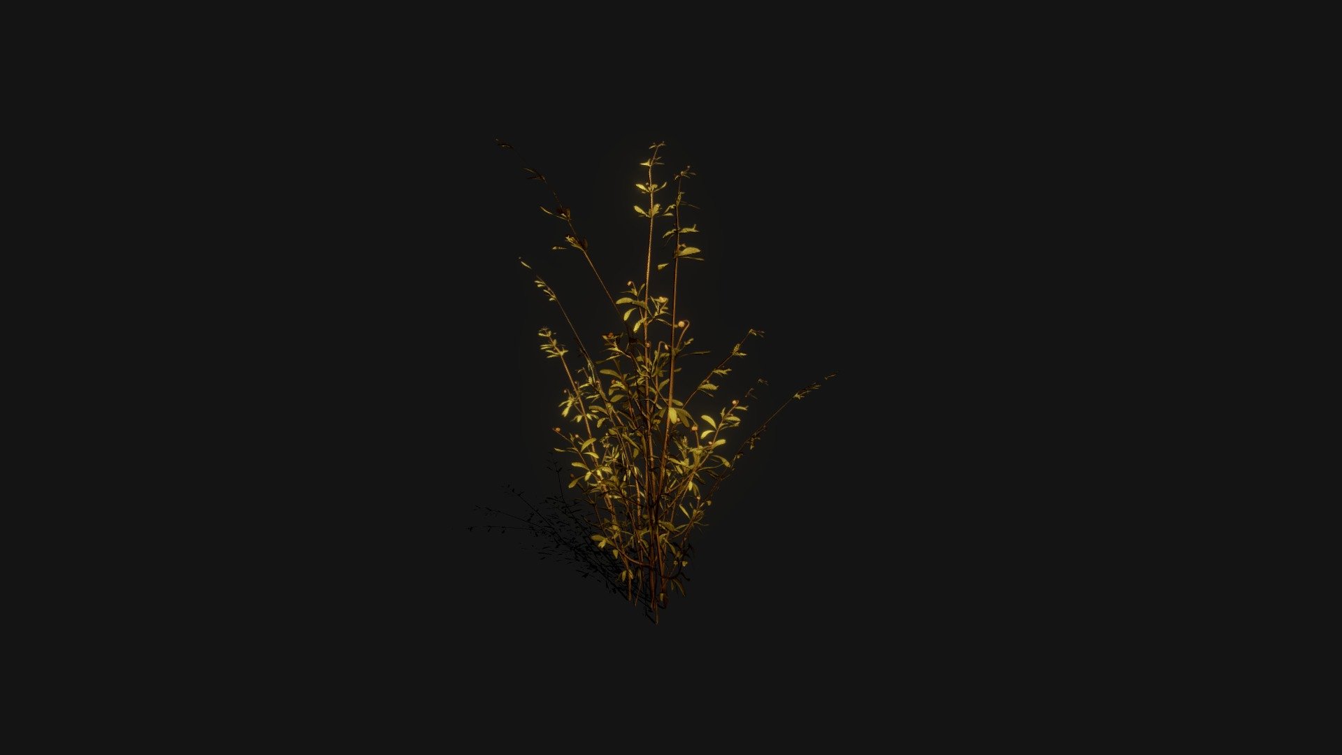 Plant 3d model