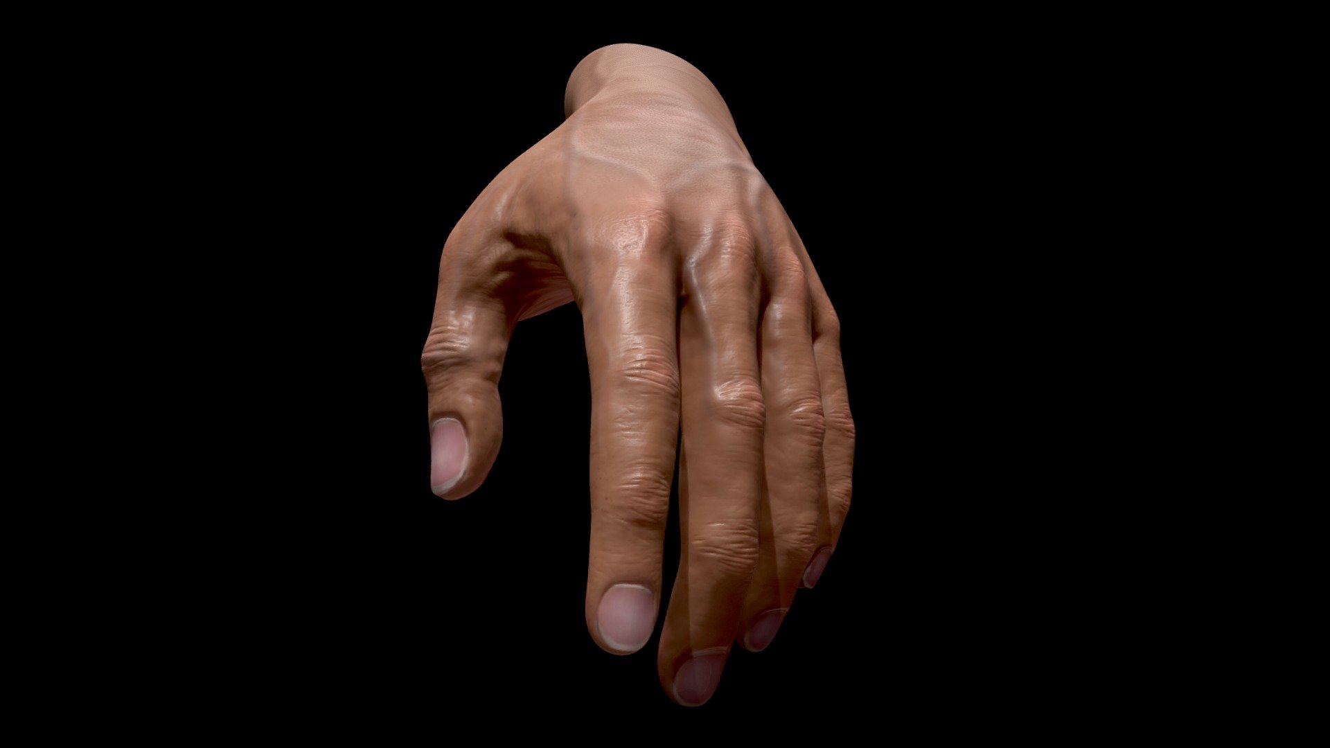 hand 3d model