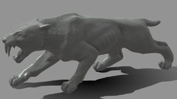 Sabre Tooth Tiger