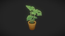 Stylized Monstera