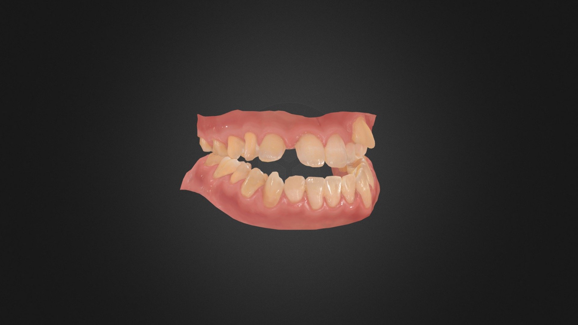 Teeth 3d model