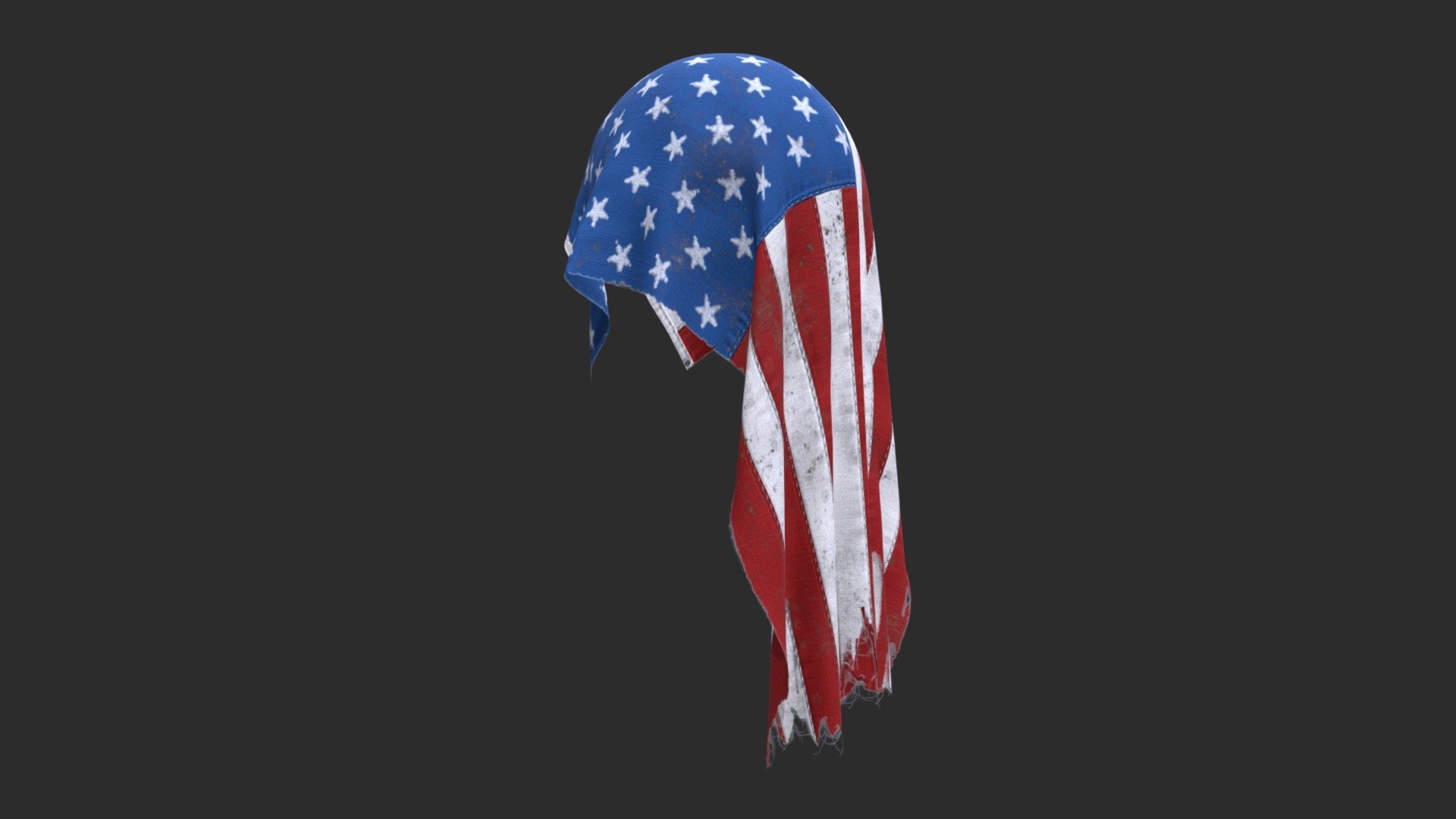 US Flag 50 Stars 1960-Today 3d model