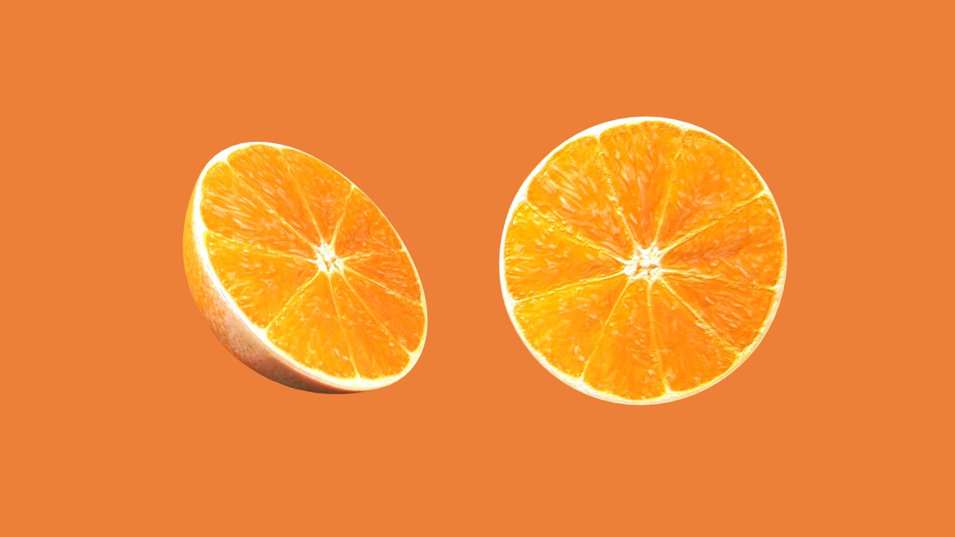 Orange Slice 3d model