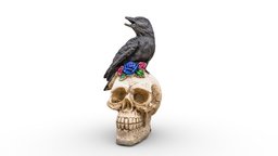 Raven on a skull